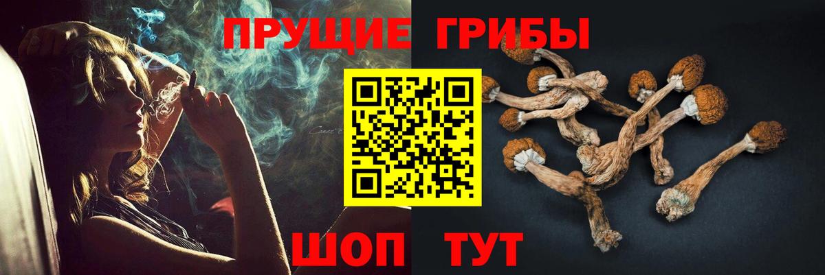 Псилоцибиновые грибы GOLDEN TEACHER Печора